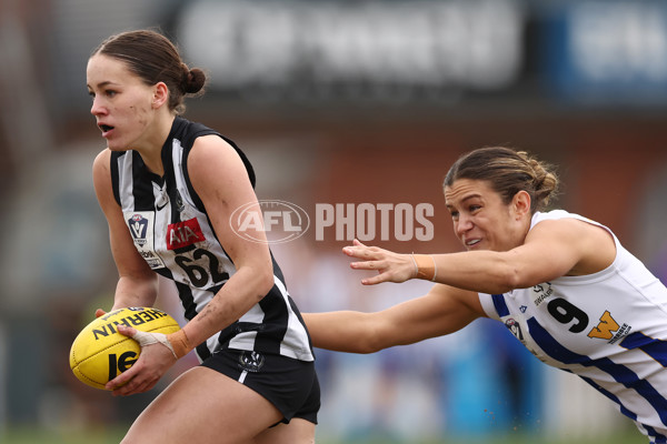 VFLW 2025 Grand Final - Collingwood v North Melbourne-Werribee - A-62099056