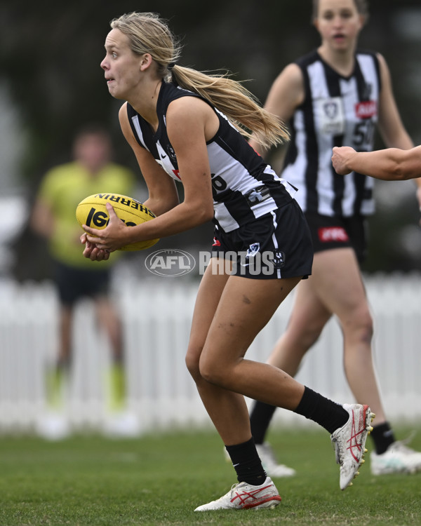 VFLW 2025 Grand Final - Collingwood v North Melbourne-Werribee - A-62099092