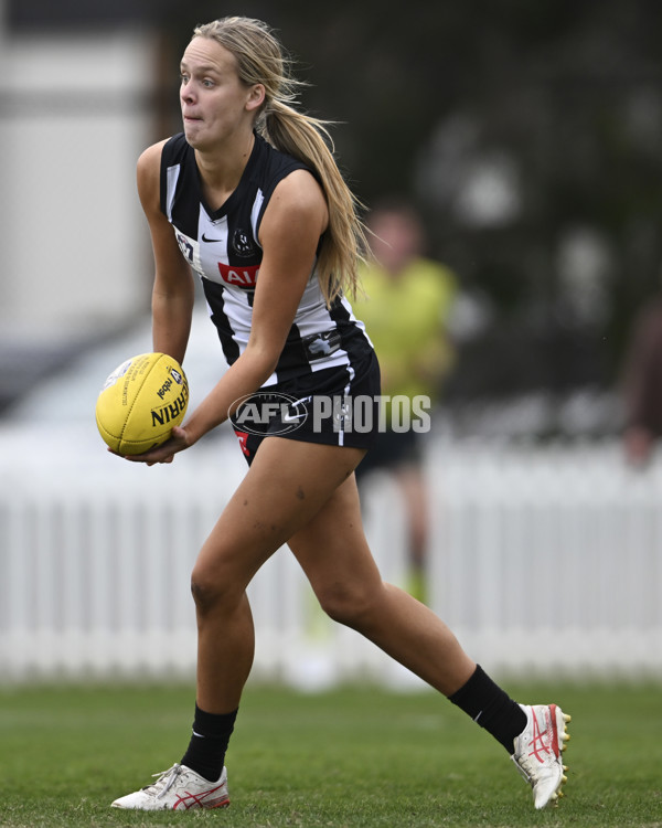 VFLW 2025 Grand Final - Collingwood v North Melbourne-Werribee - A-62099093