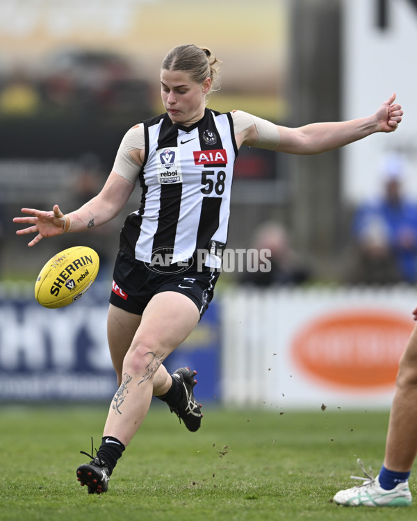 VFLW 2025 Grand Final - Collingwood v North Melbourne-Werribee - A-62099670