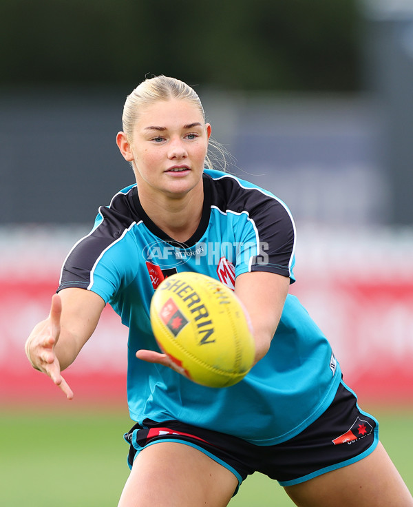 AFLW 2025 Round 03 - Yartapuulti v Gold Coast - A-62102717
