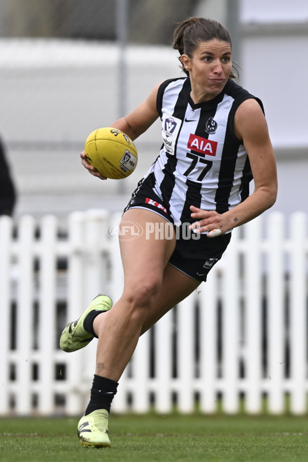 VFLW 2025 Grand Final - Collingwood v North Melbourne-Werribee - A-62102733