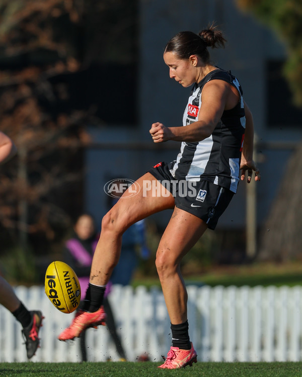 VFLW 2025 Grand Final - Collingwood v North Melbourne-Werribee - A-62104026