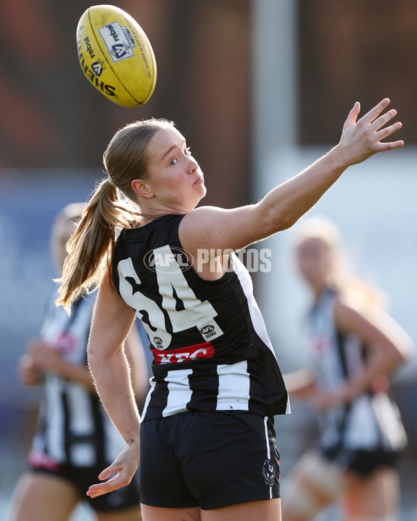 VFLW 2025 Grand Final - Collingwood v North Melbourne-Werribee - A-62104087