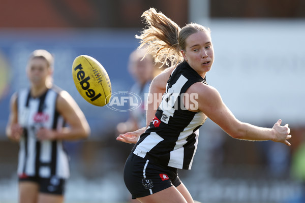 VFLW 2025 Grand Final - Collingwood v North Melbourne-Werribee - A-62104088
