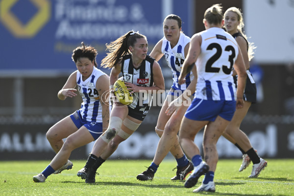 VFLW 2025 Grand Final - Collingwood v North Melbourne-Werribee - A-62104832