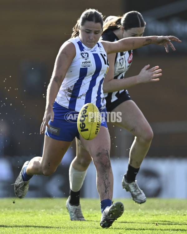 VFLW 2025 Grand Final - Collingwood v North Melbourne-Werribee - A-62104835