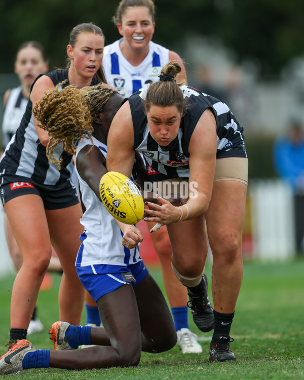 VFLW 2025 Grand Final - Collingwood v North Melbourne-Werribee - A-62104864
