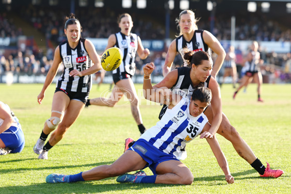 VFLW 2025 Grand Final - Collingwood v North Melbourne-Werribee - A-62104889