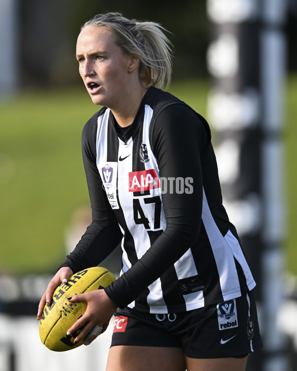 VFLW 2025 Grand Final - Collingwood v North Melbourne-Werribee - A-62106847