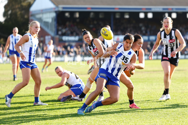 VFLW 2025 Grand Final - Collingwood v North Melbourne-Werribee - A-62106870