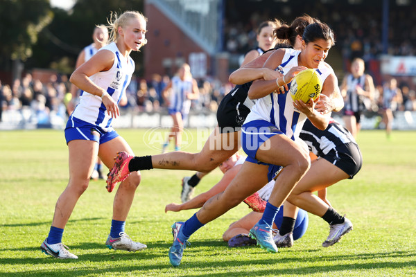VFLW 2025 Grand Final - Collingwood v North Melbourne-Werribee - A-62106874