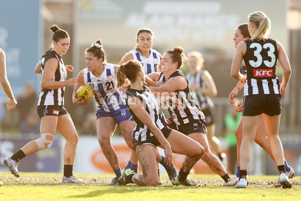 VFLW 2025 Grand Final - Collingwood v North Melbourne-Werribee - A-62108241