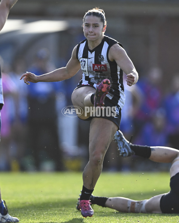 VFLW 2025 Grand Final - Collingwood v North Melbourne-Werribee - A-62108264