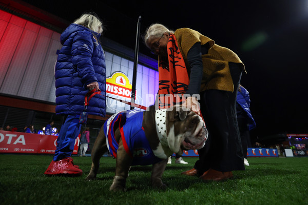 AFLW 2025 Round 03 - Western Bulldogs v Hawthorn - A-62125503