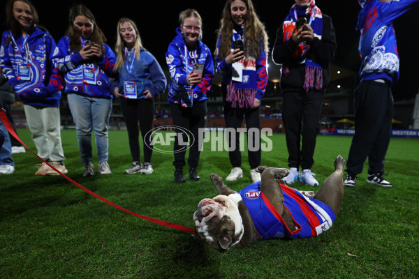 AFLW 2025 Round 03 - Western Bulldogs v Hawthorn - A-62126989