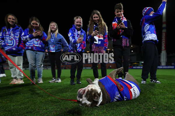 AFLW 2025 Round 03 - Western Bulldogs v Hawthorn - A-62128535
