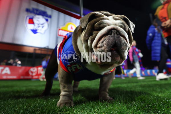 AFLW 2025 Round 03 - Western Bulldogs v Hawthorn - A-62128536
