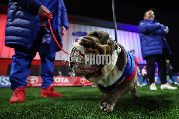AFLW 2025 Round 03 - Western Bulldogs v Hawthorn - A-62129475