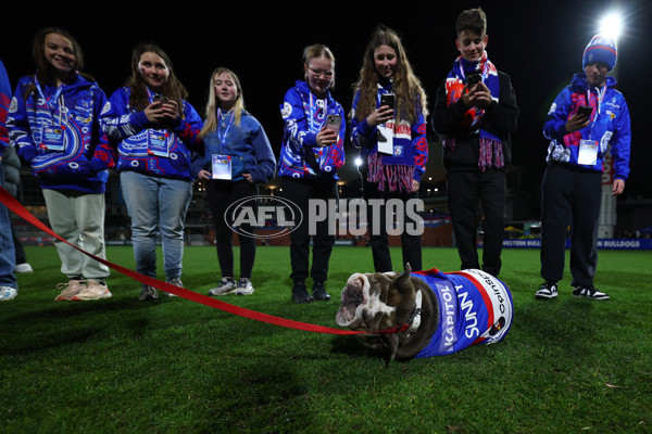 AFLW 2025 Round 03 - Western Bulldogs v Hawthorn - A-62129476