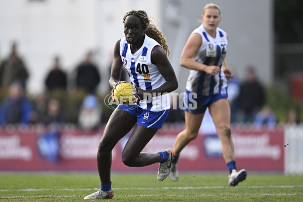 VFLW 2025 Grand Final - Collingwood v North Melbourne-Werribee - A-62129539
