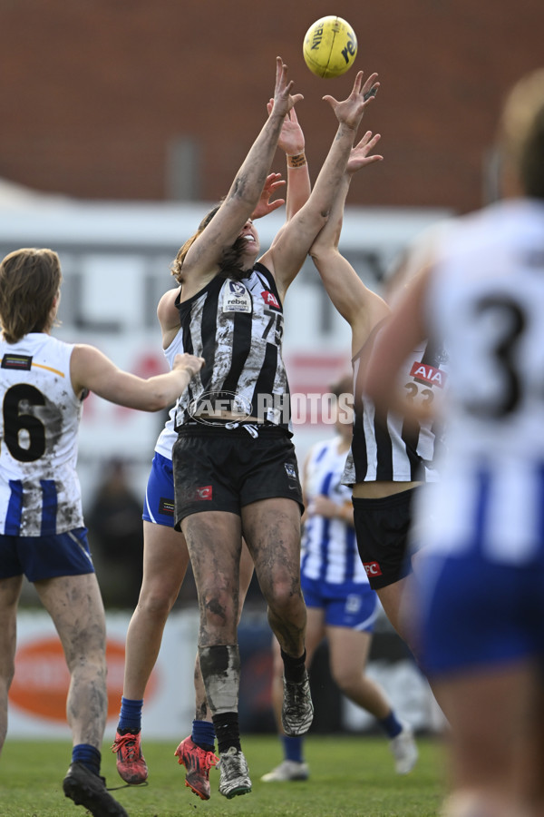 VFLW 2025 Grand Final - Collingwood v North Melbourne-Werribee - A-62129540