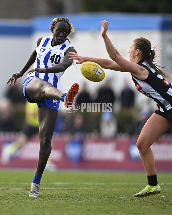 VFLW 2025 Grand Final - Collingwood v North Melbourne-Werribee - A-62131296