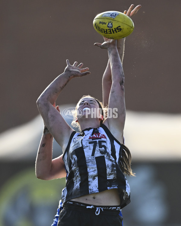 VFLW 2025 Grand Final - Collingwood v North Melbourne-Werribee - A-62131334