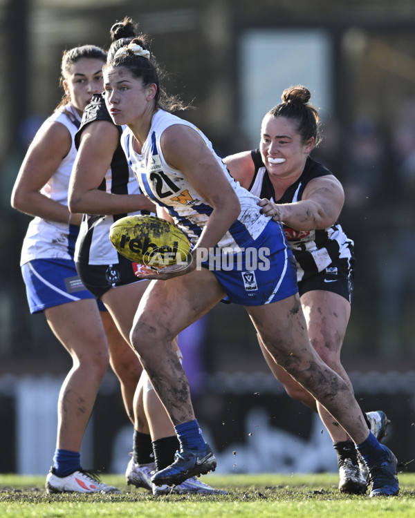 VFLW 2025 Grand Final - Collingwood v North Melbourne-Werribee - A-62132511