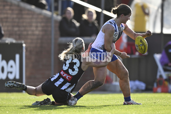 VFLW 2025 Grand Final - Collingwood v North Melbourne-Werribee - A-62132514