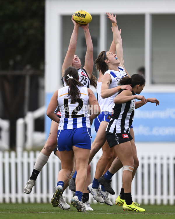 VFLW 2025 Grand Final - Collingwood v North Melbourne-Werribee - A-62132540