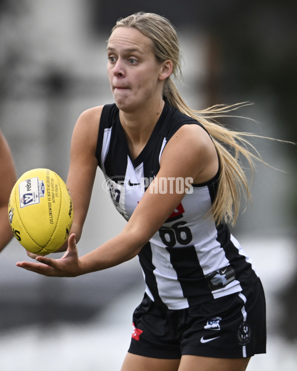 VFLW 2025 Grand Final - Collingwood v North Melbourne-Werribee - A-62132541