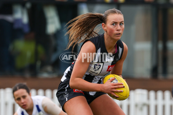 VFLW 2025 Grand Final - Collingwood v North Melbourne-Werribee - A-62133979