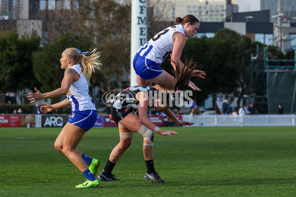 VFLW 2025 Grand Final - Collingwood v North Melbourne-Werribee - A-62135343