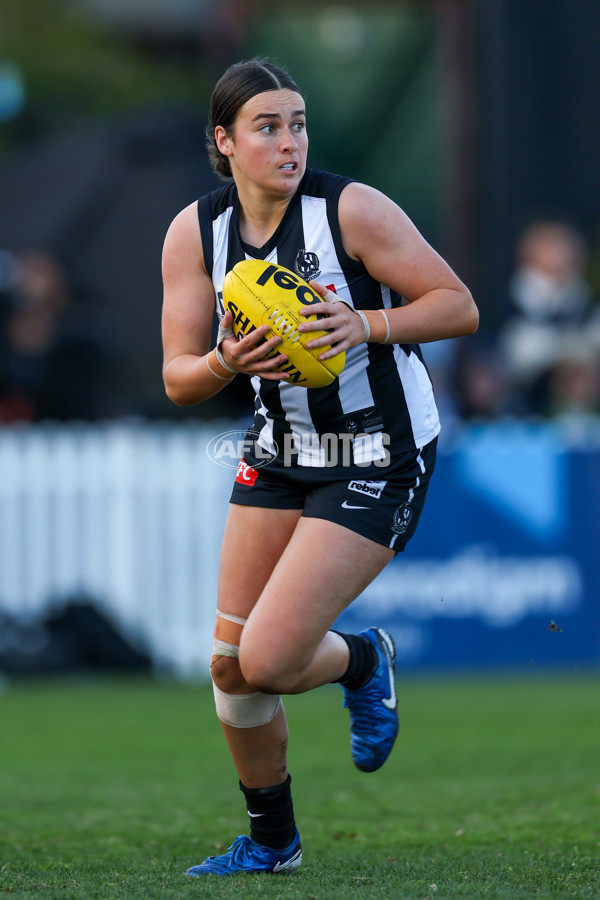 VFLW 2025 Grand Final - Collingwood v North Melbourne-Werribee - A-62135361