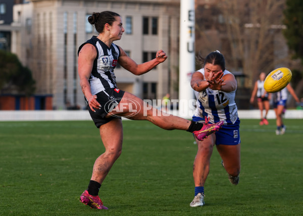 VFLW 2025 Grand Final - Collingwood v North Melbourne-Werribee - A-62135373