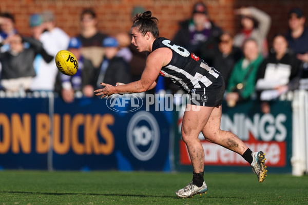 VFLW 2025 Grand Final - Collingwood v North Melbourne-Werribee - A-62135374