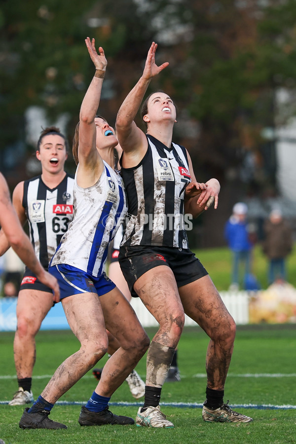 VFLW 2025 Grand Final - Collingwood v North Melbourne-Werribee - A-62135375