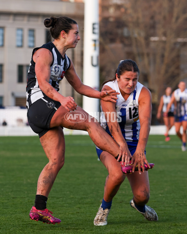 VFLW 2025 Grand Final - Collingwood v North Melbourne-Werribee - A-62135376