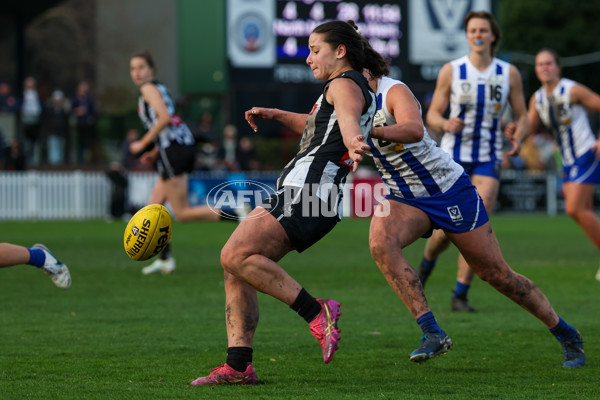 VFLW 2025 Grand Final - Collingwood v North Melbourne-Werribee - A-62135377