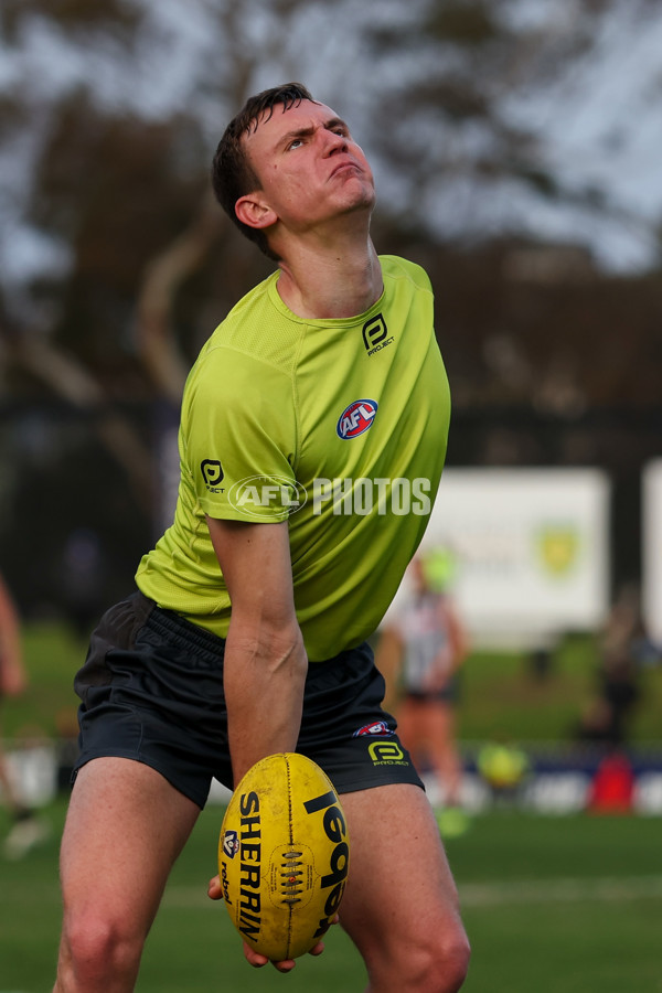 VFLW 2025 Grand Final - Collingwood v North Melbourne-Werribee - A-62135380