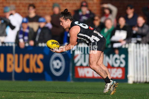 VFLW 2025 Grand Final - Collingwood v North Melbourne-Werribee - A-62135382