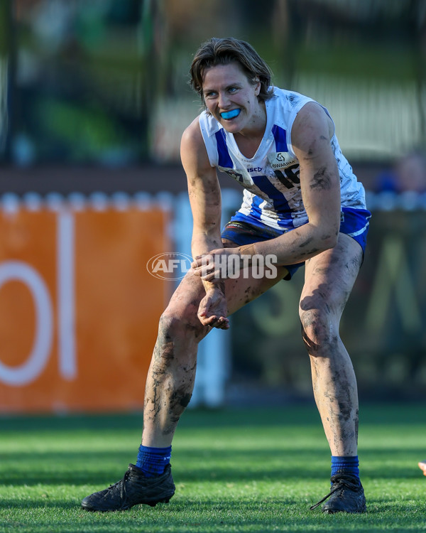 VFLW 2025 Grand Final - Collingwood v North Melbourne-Werribee - A-62136335