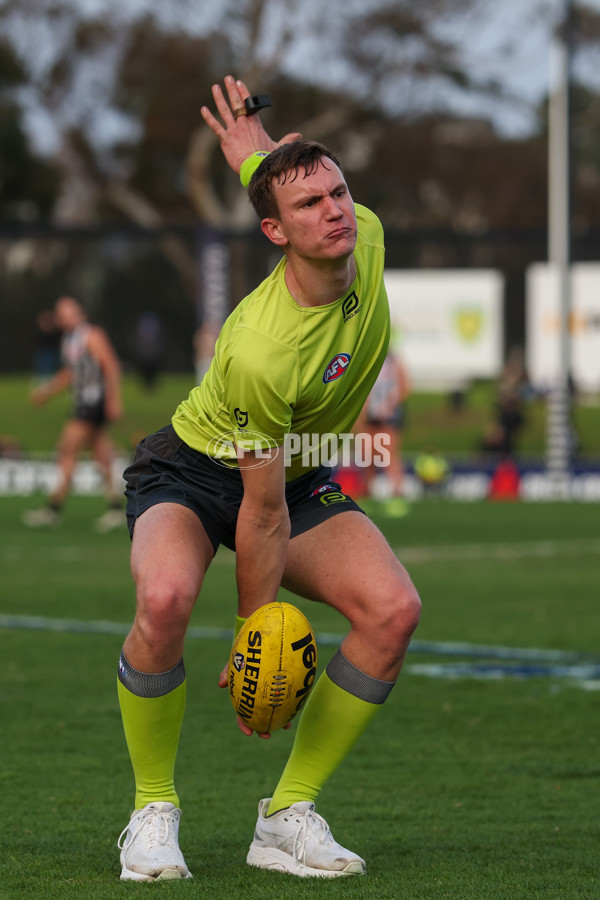 VFLW 2025 Grand Final - Collingwood v North Melbourne-Werribee - A-62136342
