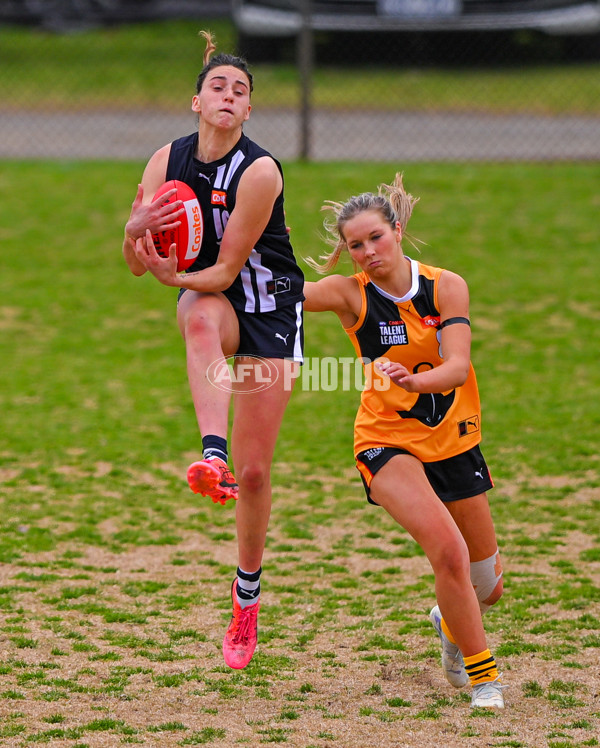 Coates League Girls 2025 Quarter Final - Dandenong Stingrays v Geelong Falcons - A-62136397