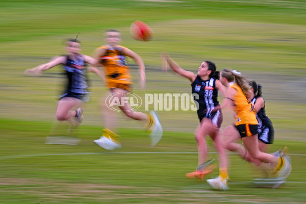 Coates League Girls 2025 Quarter Final - Dandenong Stingrays v Geelong Falcons - A-62136399