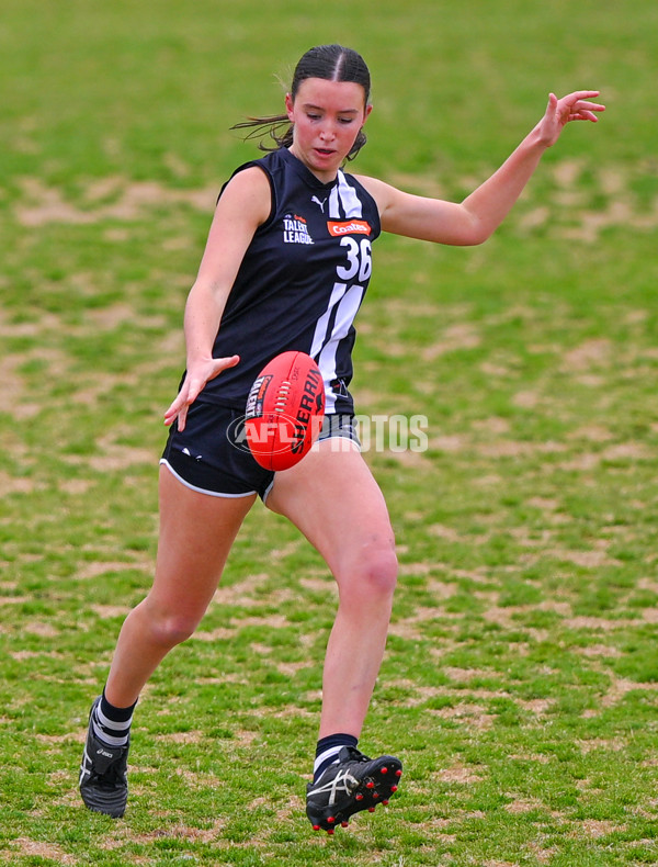 Coates League Girls 2025 Quarter Final - Dandenong Stingrays v Geelong Falcons - A-62136400