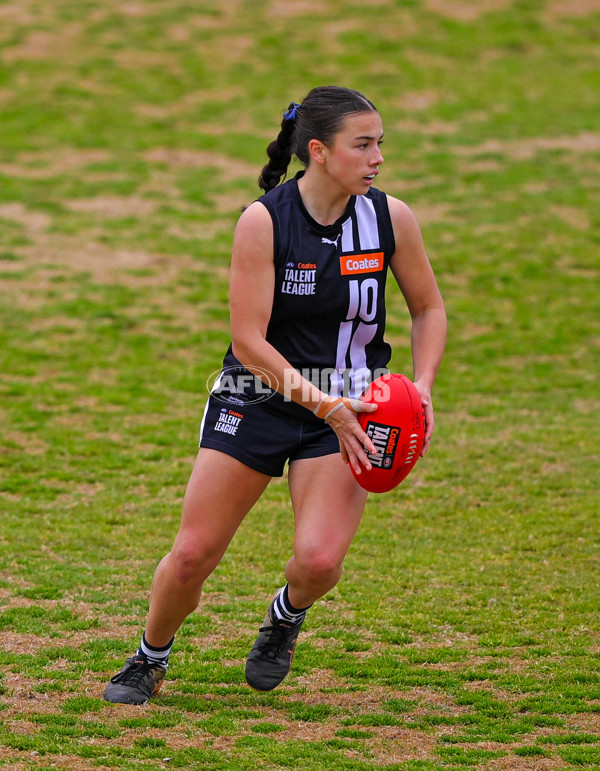 Coates League Girls 2025 Quarter Final - Dandenong Stingrays v Geelong Falcons - A-62136401