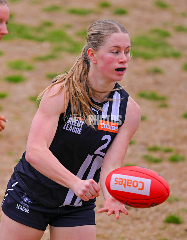 Coates League Girls 2025 Quarter Final - Dandenong Stingrays v Geelong Falcons - A-62136402