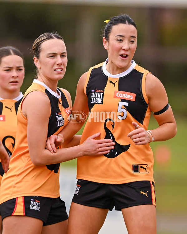 Coates League Girls 2025 Quarter Final - Dandenong Stingrays v Geelong Falcons - A-62137643